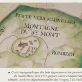 Fig. 4 - Carte topographique des bois appartenant au prieuré du Saint-Mont, vers 1777, papier, encre et aquarelle (détail). Archives départementales des Vosges, 2 Fi 3442